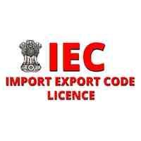 IEC's Logo